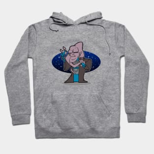 Bib Fortuna Hoodie